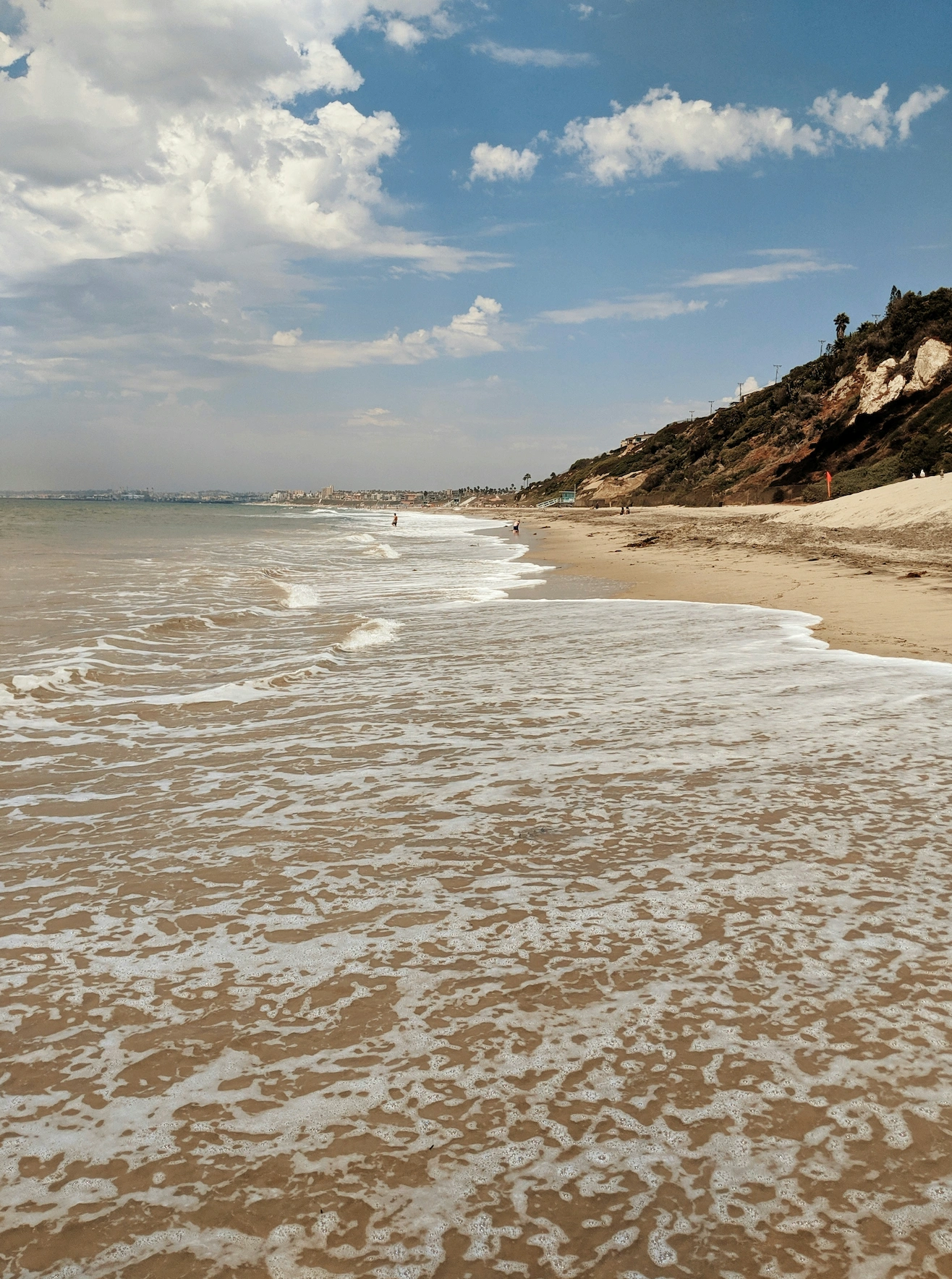 Torrance Real Estate